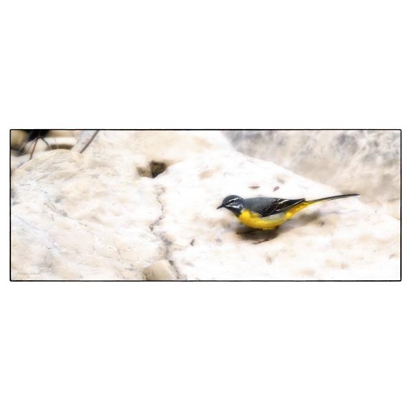 PHOTO84, CLUB, 84 , LUBERON